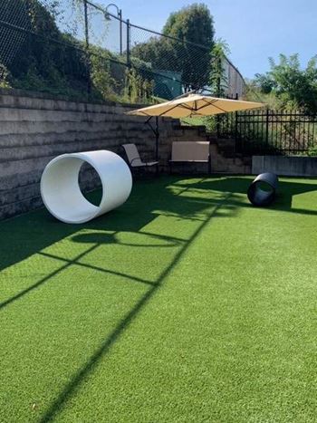 Bark park
